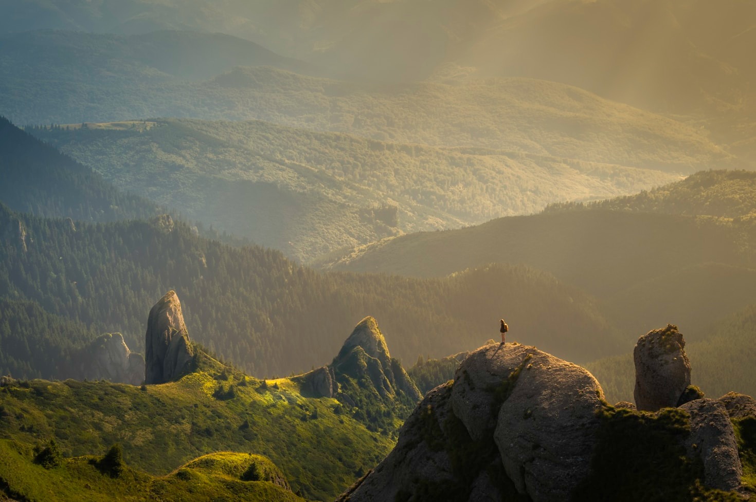 Why Dynamic Imagery Drives Better Engagement
